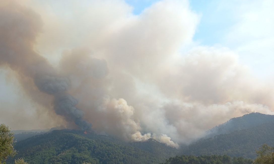 Immagine Venti  roghi in un giorno in Toscana. Incendio a Massarosa non ancora domato